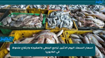 أسعار السمك اليوم الإثنين تراجع البلطي والمكرونة وارتفاع ملحوظ في الكابوريا